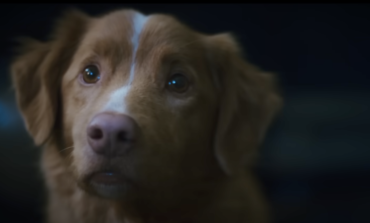 ‘Good Boy’ Distribution Widened By IFC And Shudder After Successful Trailer 